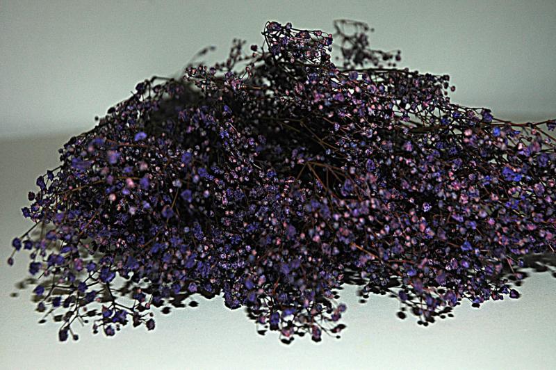 Gypsopile VIOLET HOA DECO