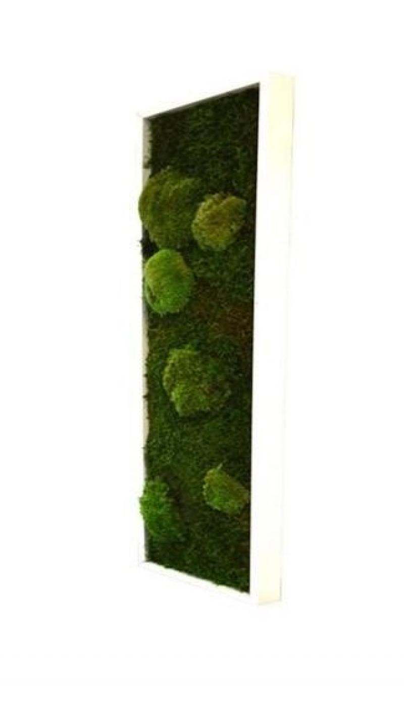 Hoa Déco zoom mousse plate boule stabilisée tableaux murs vegetaux Green wall