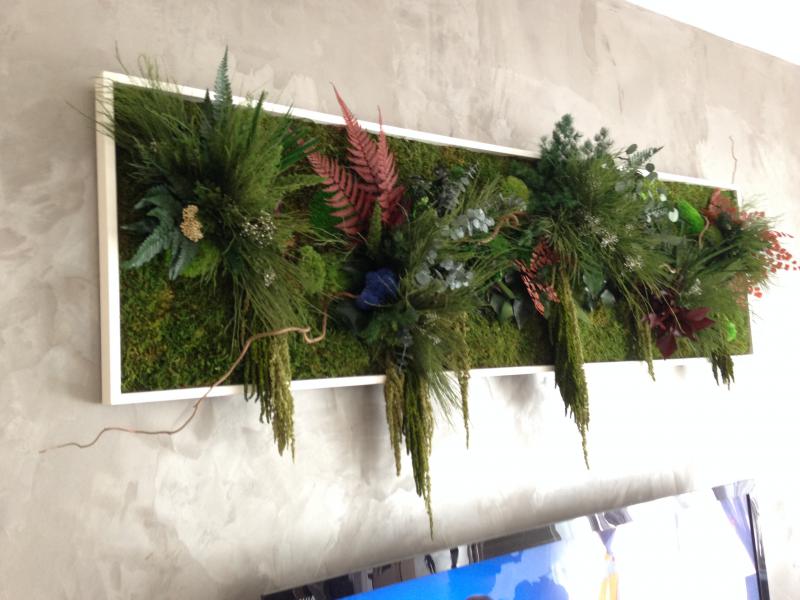 Nature Sur Mesure Encadrement Hoa déco