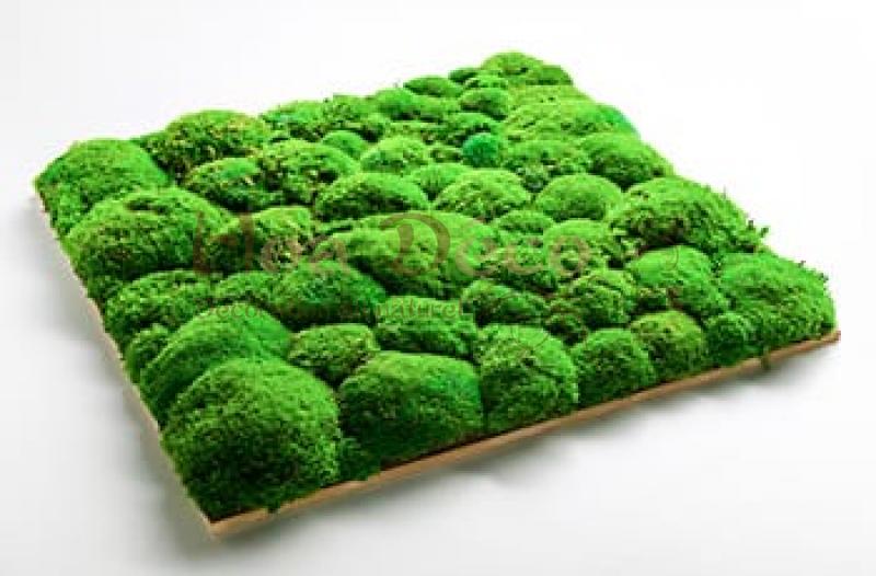 mousse boule plaque mur vegetal 1m2
