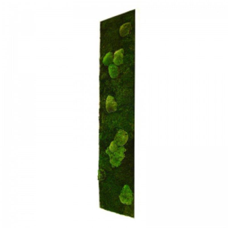 Nature Pano L Mousse 25x115cm