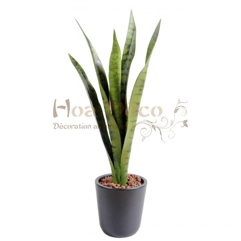 sansevieria-piquet-62 HOA DECO ARTIFICIELLE PLANTES HAUTE QUALITE
