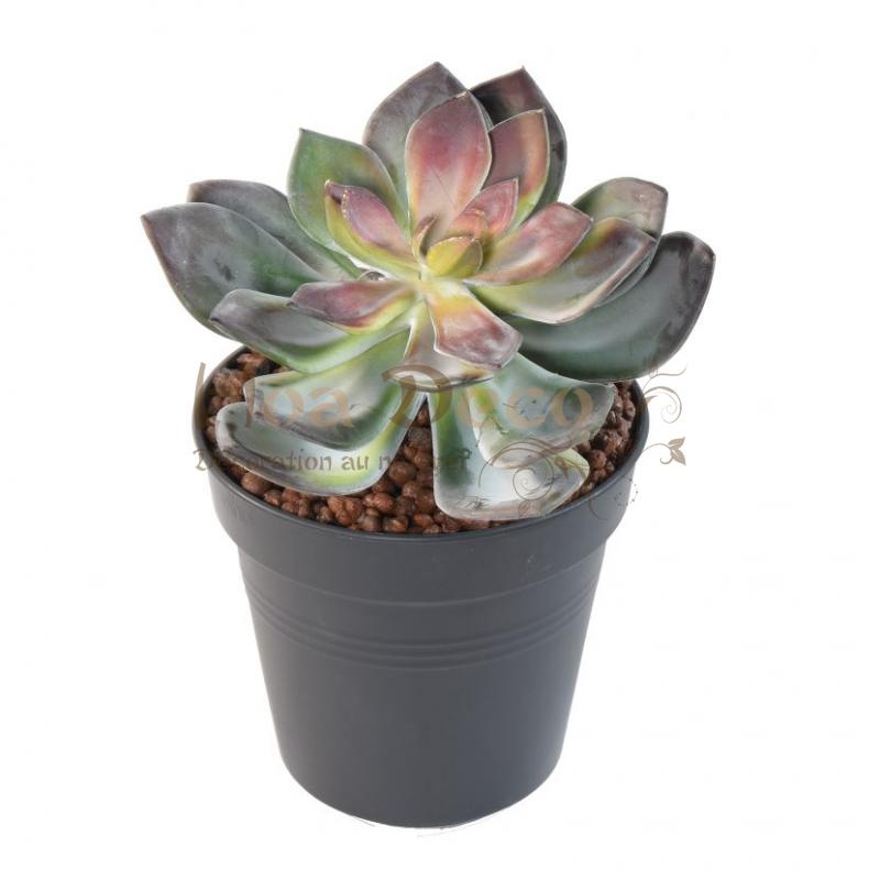 succulent-15- HOA DECO ARTIFICIEL PLANTE