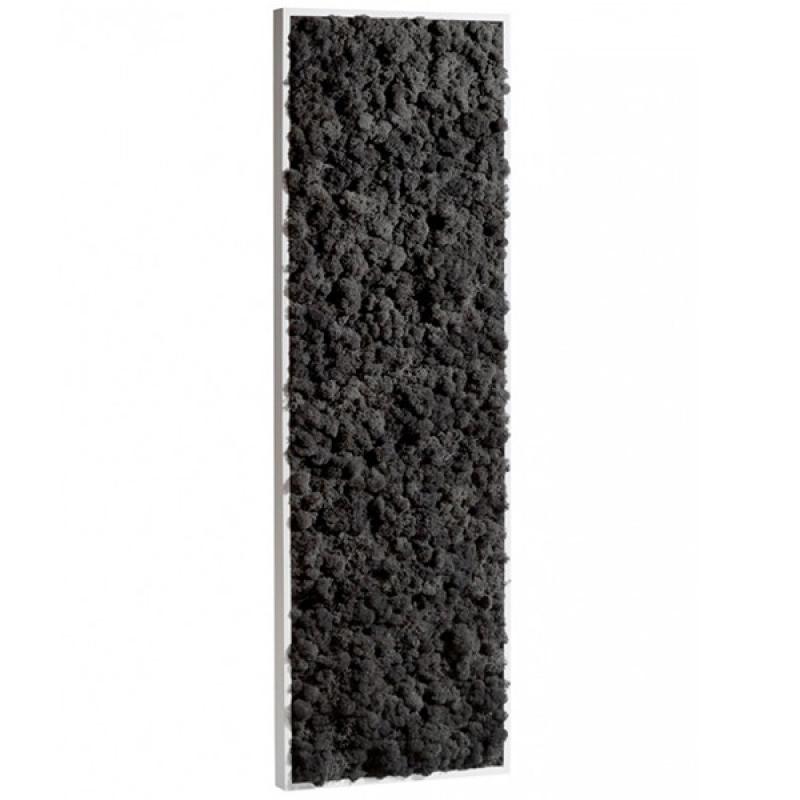 Mur végétal et plante stabilisée à Saint-Malo, Bretagne