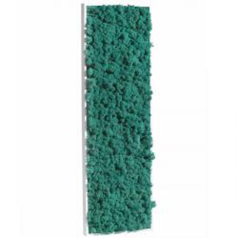 Tableau de Lichen Stabilisé Pacific Rectangle L 40x90 cm