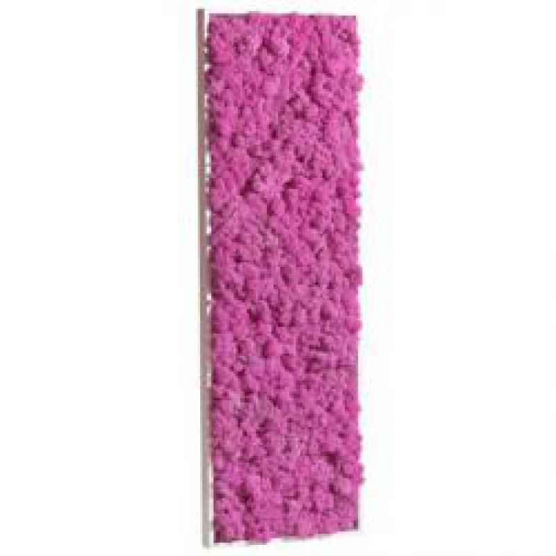 Tableau de Lichen Stabilisé Rose Fuchsia Rectangle L 40x90 cm
