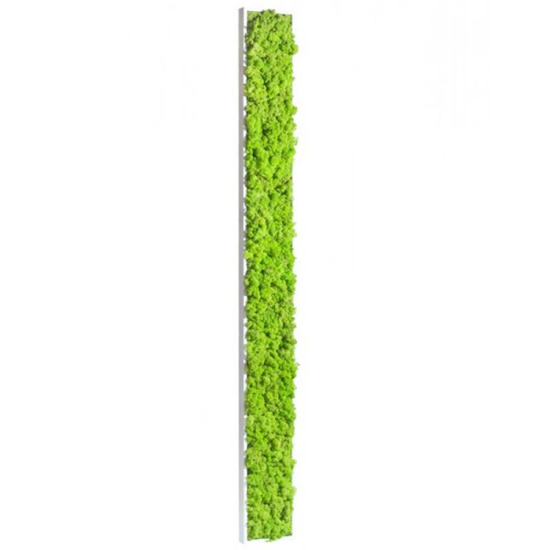 tableau-vegetal-stabilise-lichen-vert-citron-maxi-slim-170x18cm hoa deco