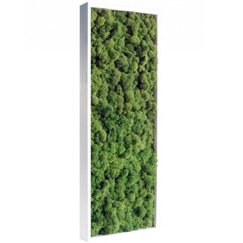 tableau-vegetal-stabilise-lichen-vert-nature-slim-60x18cm