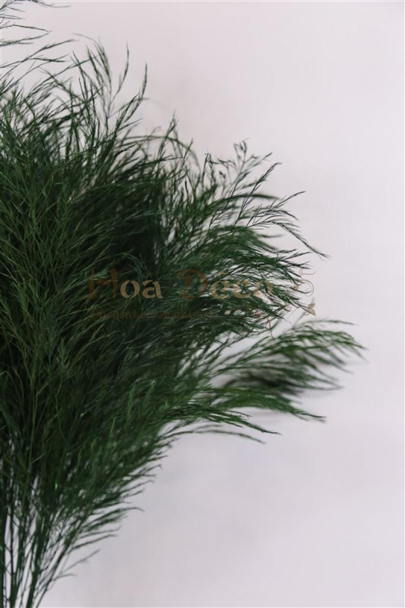 tree fern plantes stabilisées hoa déco green wall murs vegetaux zoom