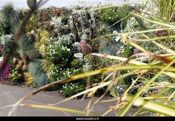 mur végétal naturel vivant Indoor Gardens / Hoa Déco