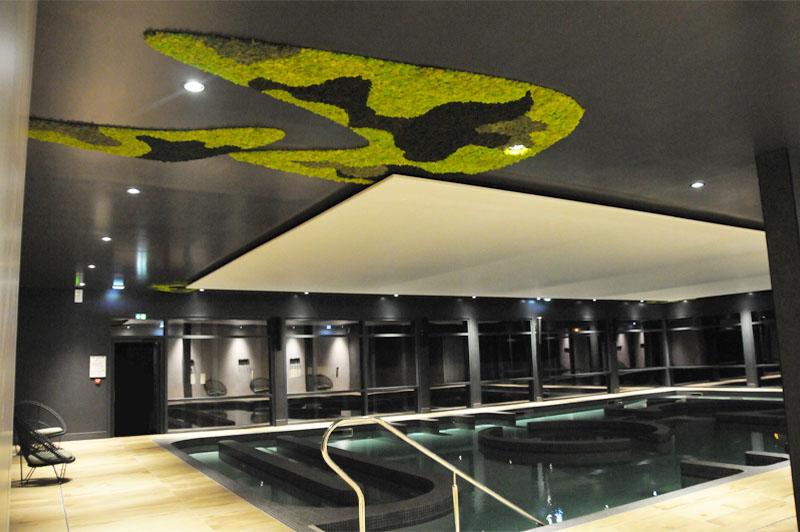 plafond-lichen-stabilisé-hoadeco