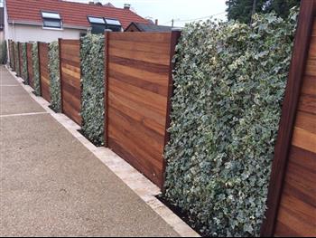 Cloison végétale extérieur Hoa déco Sphaigne mur végétaux green wall immeuble facade bois exotique
