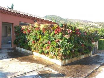 Cloison végétale extérieurs immeuble facade green wall zen spirit Hoa déco