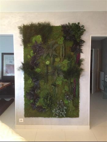 Mur végétal et plante stabilisée à Saint-Malo, Bretagne