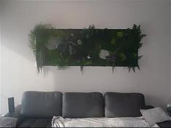 Mur végétal et plante stabilisée à Saint-Malo, Bretagne