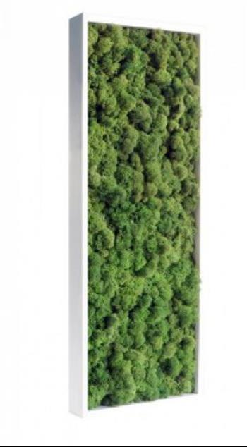 64x36 cm cadre lichen vert nature hoa deco