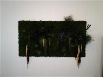 Mur végétal et plante stabilisée à Saint-Malo, Bretagne