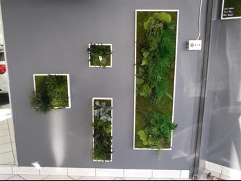 Mur végétal et plante stabilisée à Saint-Malo, Bretagne