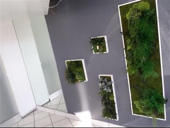 Mur végétal et plante stabilisée à Saint-Malo, Bretagne