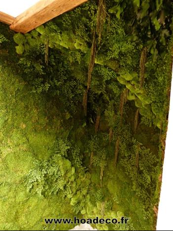 Mur végétal et plante stabilisée à Saint-Malo, Bretagne
