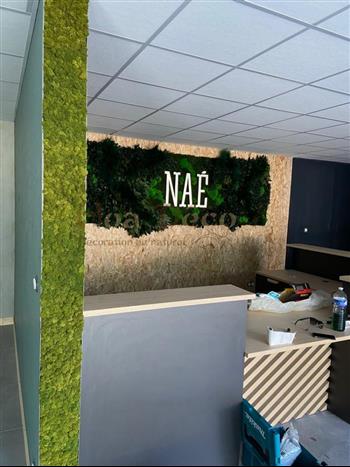 Action Déco peinture nae bio sourcée HOA DECO AVRIL 21 stabilisé green attitude zen spirit wall murs végétaux lichen