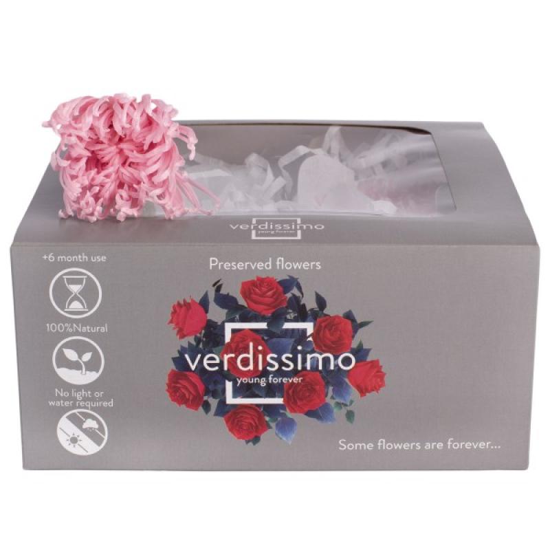 anastasia hoa deco pastel rose fleurs stabilisée