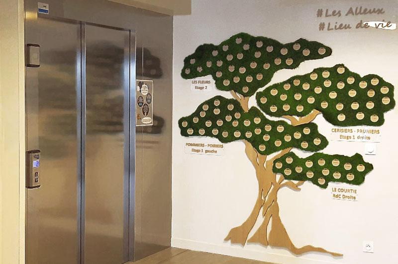 hepad-arbre-stabilisé-hoadeco