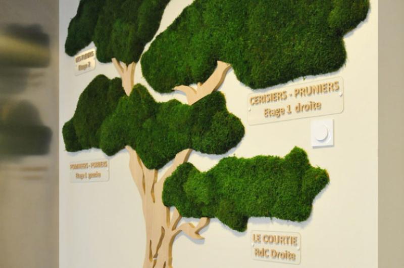 Mur végétal et plante stabilisée à Saint-Malo, Bretagne