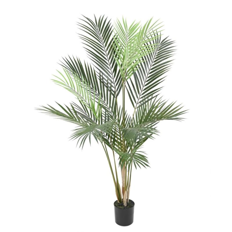 areca-100 hoa deco