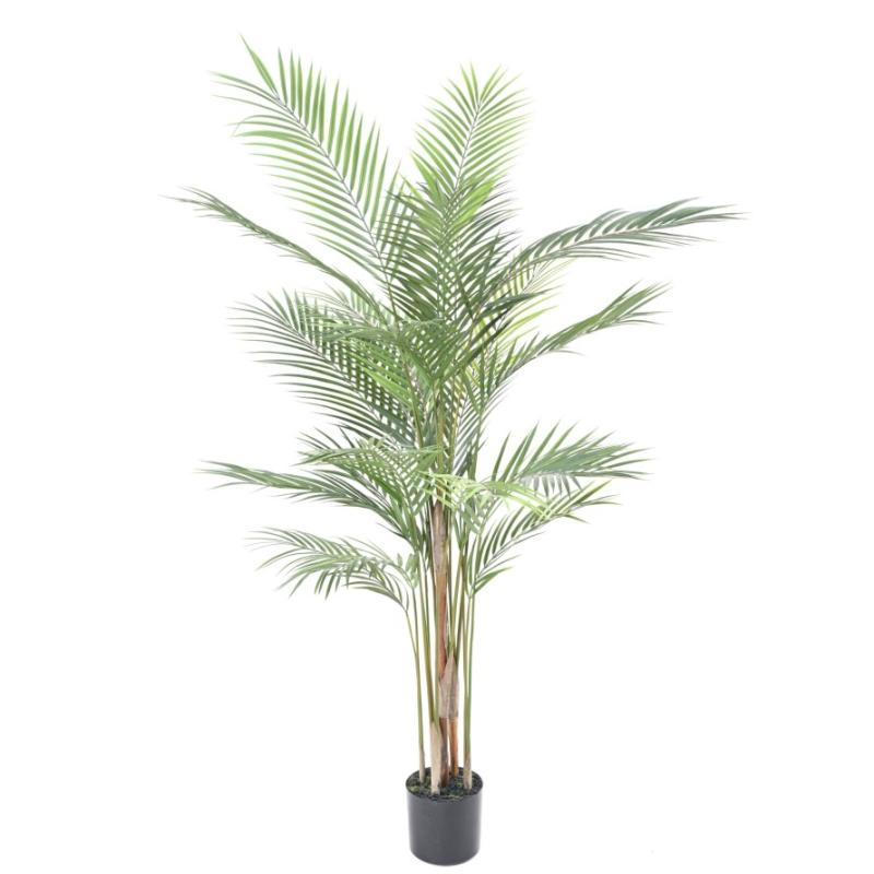 areca-120 hoadeco