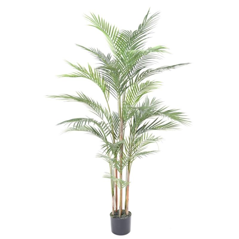 areca-150 hoa deco