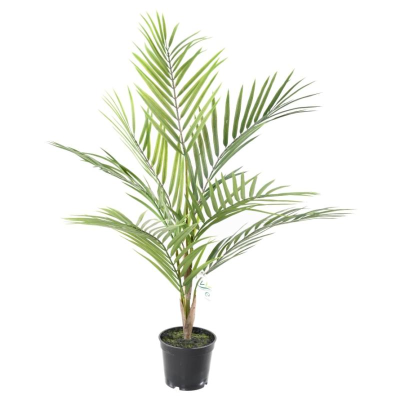 areca-60 hoa deco
