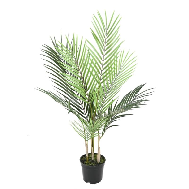 areca-70cm Hoa Déco