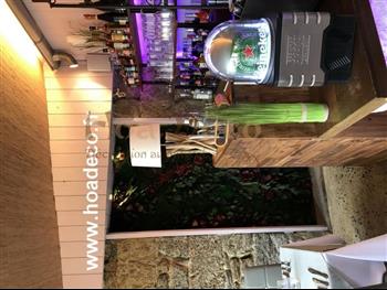 atelier mur végétal restaurant la passerelle dinard full vegetaux 2020 st malo showroom Hoa déco gastronomique gree nwsall mur vegetaux design tendance