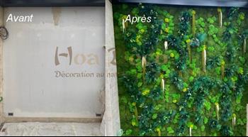 avant apres mur vegetal Hoa Déco 12m2 Neuilly