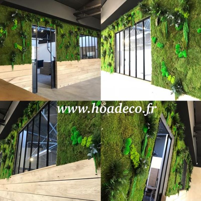 Mur végétal et plante stabilisée à Saint-Malo, Bretagne