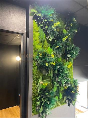 bodyhit caen mur vegetal stabilisé by HOA DECO plafond vegetal enseigne lichen naturel mur d'angle