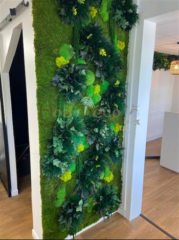 bodyhit caen mur vegetal stabilisé by HOA DECO plafond vegetal enseigne lichen naturel sur mesure
