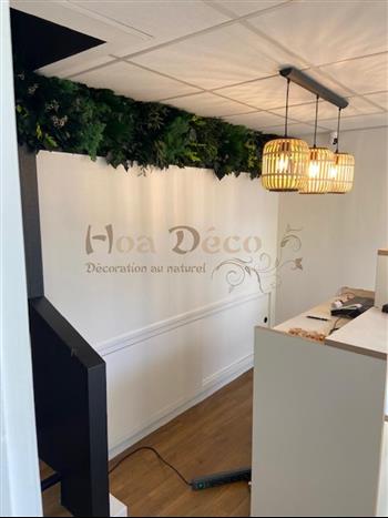 bodyhit caen mur vegetal stabilisé by HOA DECO plafond vegetal enseigne lichen naturel travaux