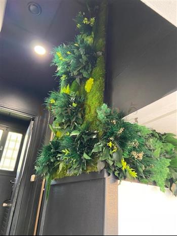 bodyhit caen mur vegetal stabilisé by HOA DECO plafond vegetal enseigne lichen naturel