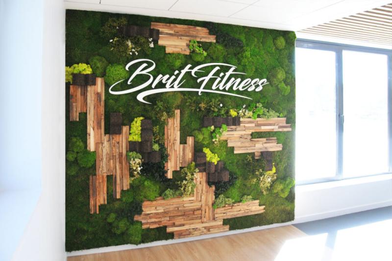 mur-mousses-stabilisés-bois-hoadeco