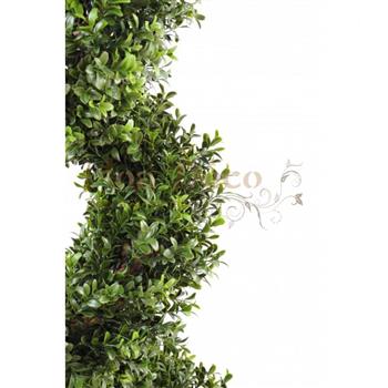 Mur végétal et plante stabilisée à Saint-Malo, Bretagne
