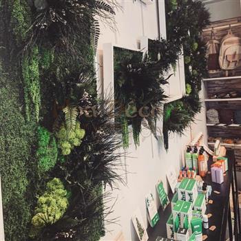 cadre hoa déco collection 2019 tableaux murs vegetaux . exposition galerie du chanvre magasin