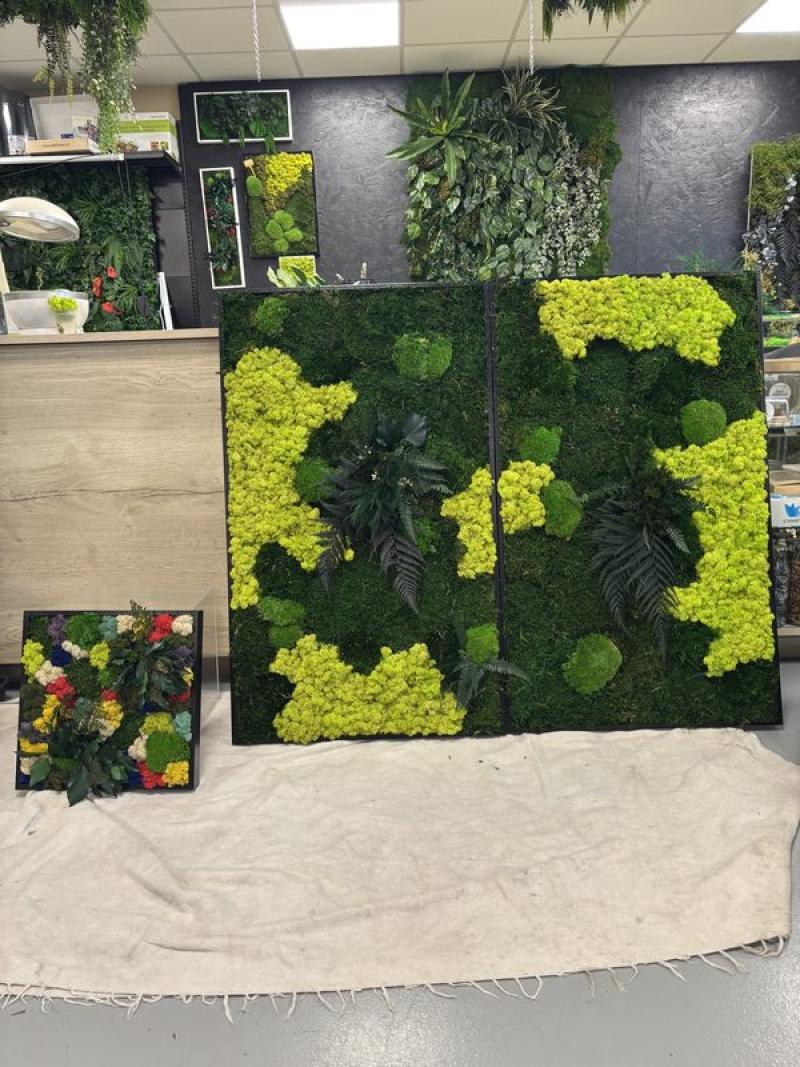 cadre lichen mousse mix melange hoa deco vert citron clair