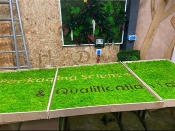 cadre naturel bordure mousse plate lichen vert citron hoa déco atelier HOADECO