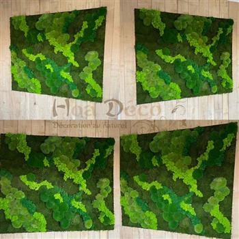 cadre naturel bordure mousse plate lichen vert citron hoa déco Green wall zen spirit tendance 2022