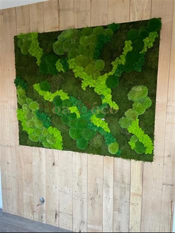 cadre naturel bordure mousse plate lichen vert citron hoa déco Green wall zen spirit tendance 2022