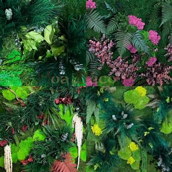 cadre naturel bordure mousse plate lichen vert citron hoa déco fleurs violette rose pourpre