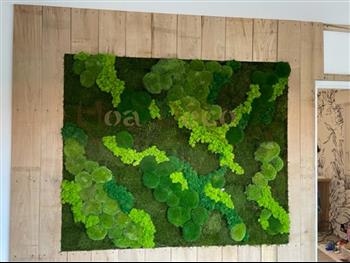cadre naturel bordure mousse plate lichen vert citron hoa déco Green wall zen spirit tendance 2022