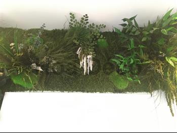 cadre stabilisé lichen Hoa déco mono 22x22cm sur mesure zen spirit green wall tendance